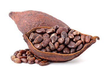 Roasted cocoa beans in the shell and dried cocoa fruit. isolated on a white background.