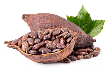 roasted cocoa beans
In the shell and dried cocoa fruit there are green leaves. isolated on a white background.