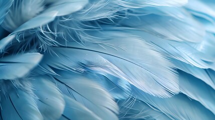 Digital art background of vibrant blue large bird feathers with detailed texture, perfect for a serene blue feather display.