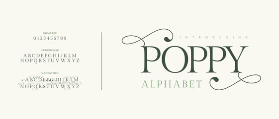Poppy Elegant Font Uppercase Lowercase and Number. Classic Lettering Minimal Fashion Designs. Typography modern serif fonts regular decorative vintage concept. vector illustration