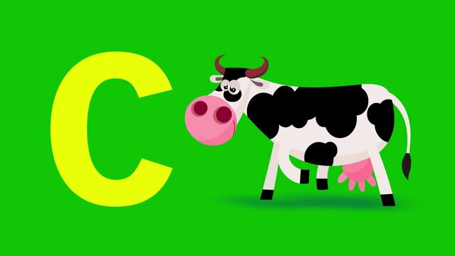 C letter big color like cow cartoon animation. Animal loop. Educational serie with bold style character for children. Good for education movies, presentation, learning alphabet, etc...