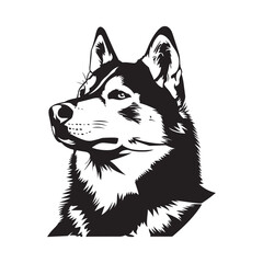 Husky Vector Images. illustration of Husky