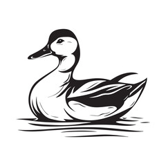 Duck Vector Images on white background