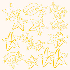Starfruit Outline Style.eps