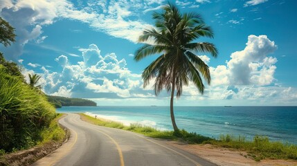 Single Palm Tree beside road and Sea,  Summer days in beach