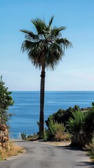 Single Palm Tree beside road and Sea,  Summer days in beach