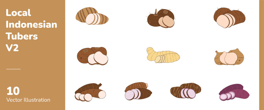 Local Indonesian Tubers 2