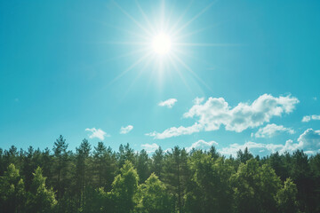 landscape view over forest with bright sun in a clear blue sky, tall green trees, photorealistic // ai-generated 