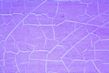 Fondo en pared lila con textura de líneas.