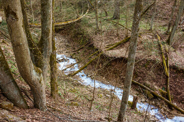 A ravine in which a blue stream flows after the illegal dumping of pollutants