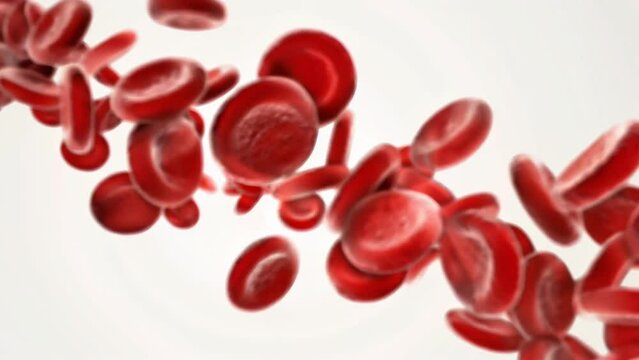Realistic 3D rendering of red blood cells flowing in a dynamic stream against a clean white background. 