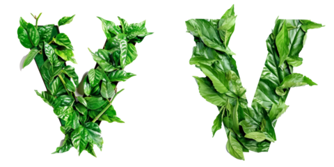 Word shape from leave A-Z