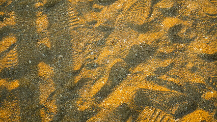 Richly Textured Background of Brown Sand