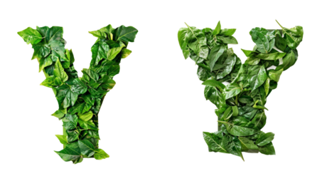 Word shape from leave A-Z