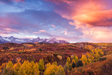 Autumn colors at sunrise at the Dallas Divide in Colorado's San Juan Mountains