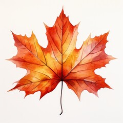 The image shows a watercolor painting of a red maple leaf. The leaf is in focus and has a white background.