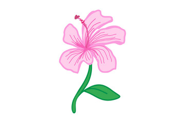 illustration of drawing a sprig of pink hibiscus flowers for children © Iqbal
