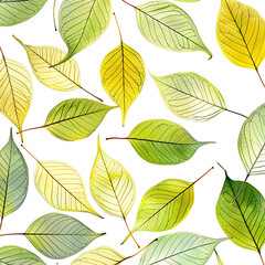 abstract pattern of fresh tree leaves on clean isolated background