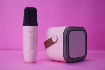 Small Bluetooth Karaoke Speaker With Wireless Mic
