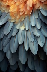 Obraz premium Vibrant Feather Texture