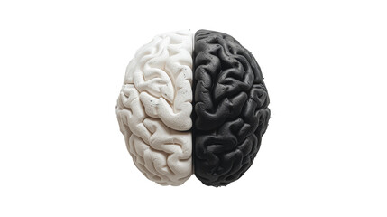 3D black and white brain.