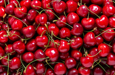 fresh cherry as background, top view