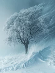 Fotobehang A stark winter tree stands in a banner-sized image with a blizzard swirling around © reels