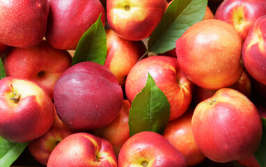 fresh ripe nectarines as background, top view
