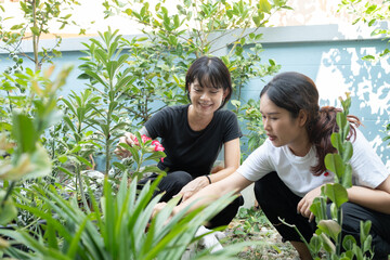 Punk Asian girl and her friend use a tablet to find out about the flower species growing in her garden.