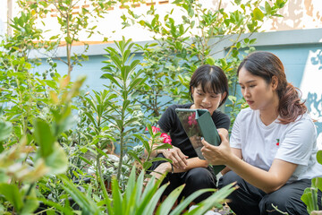 Punk Asian girl and her friend use a tablet to find out about the flower species growing in her...