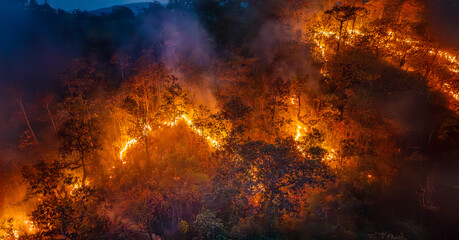 Bushfires in tropical forest release carbon dioxide (CO2) emissions and other greenhouse gases...