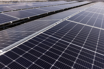 Solar Panels: Solar panels glisten under the clear blue sky, harnessing energy