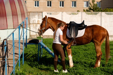 Woman fastening girth on saddled horse