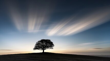 Silhouette of a lone tree against a twilight sky, casting a striking white and black shadow on the ground, evoking a sense of solitude and serenity.