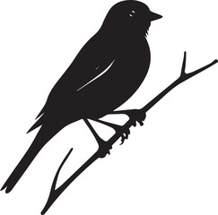 bird on a branch