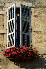 Pommard, Beaune, Department of Côte-d’Or, Burgundy, France, Europe - half open window wooden shutters, colorful flowers hanging in flower-box