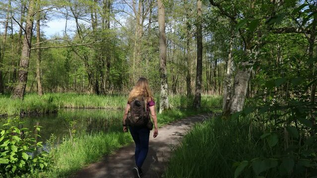 A woman hikes from Lübbenau to Wotschofska in the Spreewald (Spree forest), Federal State Brandenburg - Germany