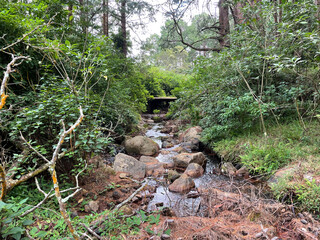 The natural source of water is rain water. Natural source waters come from protected underground sources that are free from pollution and are safe to drink at source without chemical treatment.