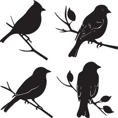 birds on a branch