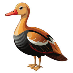 a drawing of a duck with a white patch on the back  vector illustration