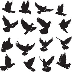 silhouettes of birds