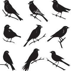 pattern with birds