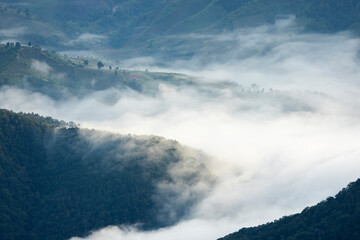 Landscape of Morning Mist with Mountain Layer at north of Thailand. mountain ridge and clouds in...