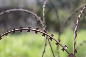 razor wire fence. green grass in the background,