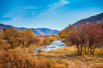 Autumn natural scenery of Aershan in Hulunbuir, Inner Mongolia, China