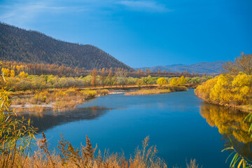 Autumn natural scenery of Aershan in Hulunbuir, Inner Mongolia, China