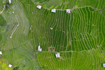 Terraced rice field at Mae Cham Chiangmai Northern Thailand