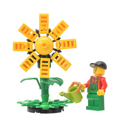 Naklejka premium Lego minifigure of cute man in garden with water can and big yellow flower isolated on white. Editorial illustrative image of popular children plastic toy. 