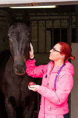 Vet giving an apple as a treat to a horse
