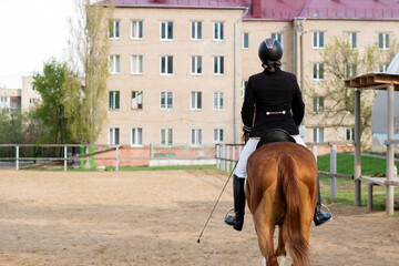 Rider on horseback overlooking urban backdrop